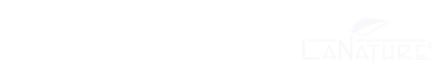 Site Logotype
